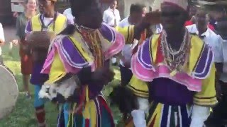 Kochia Dancers [upl. by Taro]