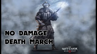 The Witcher 3 Wild Hunt  Caranthir Boss Fight No Damage NG Death March [upl. by Erodasi]