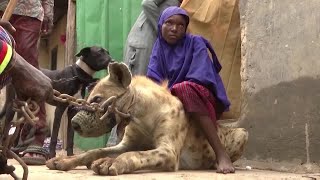 Nigerias hyena culture clashes with conservation [upl. by Witty437]