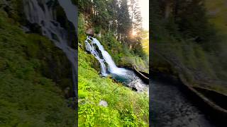 Chasing Waterfalls in the Swiss Alps  switzerland waterfall jaun swissalps shorts [upl. by Riocard]