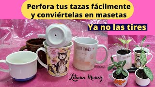 COMO PERFORAR FÁCILMENTE TUS TAZAS Y CONVERTIRLAS EN MASETAS NO LAS BOTES A LA BASURA Liliana Muñoz [upl. by Taran]