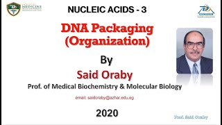 L 3 DNA Packaging by Said Oraby [upl. by Kemble307]