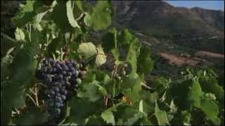 Wines of Crete [upl. by Dinesh]