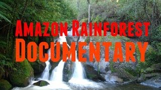 Amazon Rainforest Documentary Brazil Nut and Timber Production Under Threat in Amazon Rainforest [upl. by Aelrac]