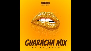 Mix Guaracha  Dj Richard [upl. by Zita]