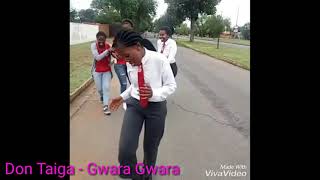 Gwara gwara Don Taiga  South African Girls moves Afrobeats Dance Music [upl. by Nannoc85]