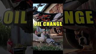 doglover oilchange ktm ktm690 ktmloverktm supermotolife mechaniclife mechanic motorex [upl. by Maite]