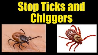 Prevent Ticks and Chiggers on Body and Yard [upl. by Olihs450]