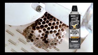 Hot Shot Wasp amp Hornet Killer Commercial [upl. by Ner]