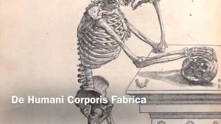 Andreas Vesalius [upl. by Nosak267]