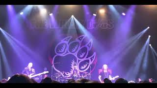 The Winery Dogs  Live at HiroshimaJapan 2023「Captain Love（with Howling） ～ Hot Streak」 [upl. by Kaila105]