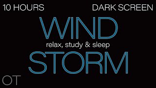 HOWLING WIND Sounds for Sleeping Relaxing Studying BLACK SCREEN Real Storm Sounds SLEEP SOUNDS [upl. by Deerdre752]