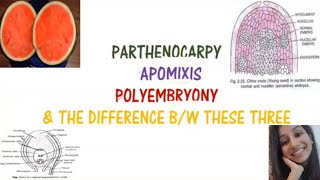 Parthenocarpy Apomixis Polyembryony and difference between these threeReproductionBansalbiology [upl. by Piero581]