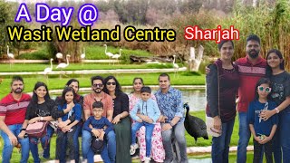 Wasit Wetland Centre SharjahBirds Sanctuary SharjahBest Place To Visit in Sharjah Travel Vlog [upl. by Enehpets732]