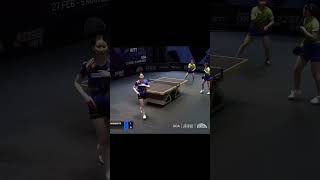 What a Reflex Miwa Harimoto WTF moment at WTT star contender pingpong tabletennis youtubeshorts [upl. by Redwine857]