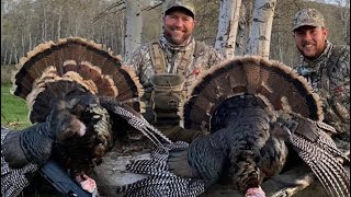 TURKEY HUNTING PUBLIC LAND IN UTAH [upl. by Os]