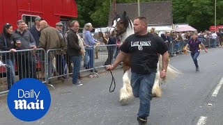 Travellers descend on Hampshire village for Wickham Horse Fair  Daily Mail [upl. by Ennove]