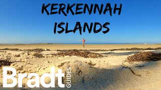 Tunisias Kerkennah Islands îles Kerkennah Sfax  hidden island paradise with Bradt Travel Guides [upl. by Satsoc]