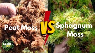 Peat Moss or Sphagnum Moss You’ll Be Surprised In The Differences [upl. by Klarika345]