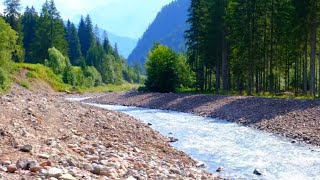 Falcade nelle Dolomiti Belluno  Il sentiero lungo il torrente Cordevole [upl. by Durrett645]