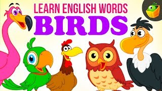 Birds  Pre School  Learn English Words Spelling Video For Kids and Toddlers [upl. by Conias]