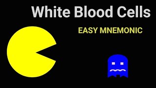 White Blood Cells  EASY Mnemonic to Help Memorize the 5 Types of White Blood Cells  Anatomy [upl. by Riti]