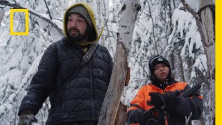 Poszukiwali nory niedźwiedzia i jej właściciela  Życie na Alasce [upl. by Norahc]