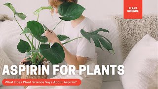 Use aspirin for faster growing all flowers and plants  faster germination [upl. by Alyakem358]