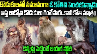 Real Story  రోడ్డున పడ్డ తండ్రికి కొడుకులా మారిన కోతి  Monkey Emotional Story  The Untold Telugu [upl. by Aneral95]