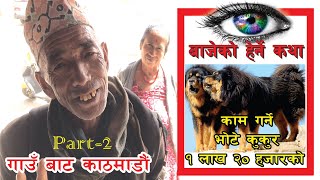 Bajeko Herne Katha ।। Bajeko Palama ।। Nepali Jadibuti ।। Organic Jadi Buti Part2 😍💕🇳🇵 [upl. by Sackey]