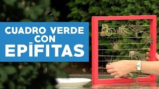 ¿Cómo hacer un cuadro verde con plantas aéreas [upl. by Amsden]