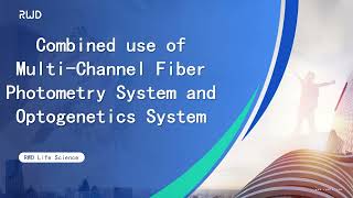 Combined use of Multi Channel Fiber Photometry System and Optogenetics System [upl. by Sibylle864]