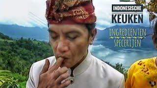 De Indonesische Keuken  Ingrediënten amp Specerijen [upl. by Akinnej531]