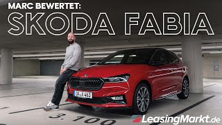 Skoda Fabia Test  Vorteile und Nachteile 👍👎 [upl. by Folly]