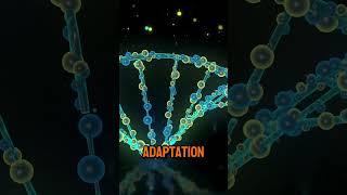 The Role of Genetics in Understanding Human Evolution [upl. by Steady855]