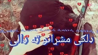 د افغانستان اسلامي امارت کمانډو  اسلامي امارت افغانستان  طالب جان [upl. by Laughton]