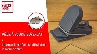 Piège à Souris SuperCat SWISSINNO [upl. by Perot324]