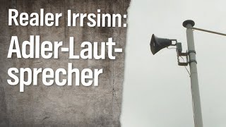 Realer Irrsinn Lautsprecher gegen Adler  extra 3  NDR [upl. by Beard]