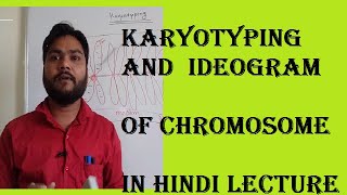 karyotyping and idogram of chromsome chromosomebanding [upl. by Ronyar]