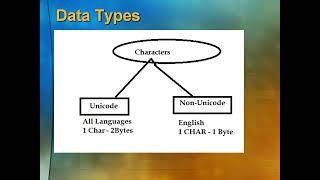 04 SQL Server Data Types Part1 [upl. by Esertak]