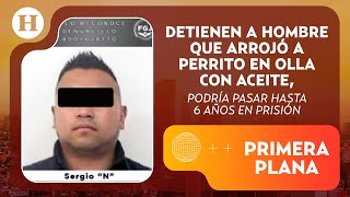 ¡Justicia para Benito Capturan a Sergio quotNquot hombre que lanzó a perrito en aceite  Primer Plana [upl. by Ecirum]