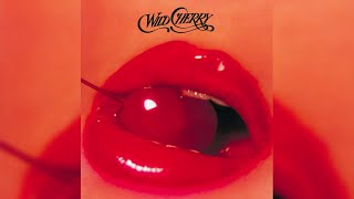 Wild Cherry  Play That Funky Music [upl. by Tinaret]