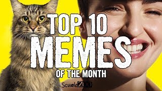 TOP 10 VIDEO MEME del MESE 13  ScuolaZoo [upl. by Darleen407]