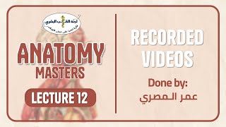 Anatomy masters 2023 Batch  L12 Respiratory system  Done by عمر المصري [upl. by Ainoz]