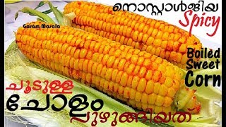 തണുപ്പത്തു നല്ലചൂടുള്ള ചോളം പുഴുങ്ങിയത് Spicy Boiled Sweet Corn on the Cob Delicious Street Food [upl. by Greenman]