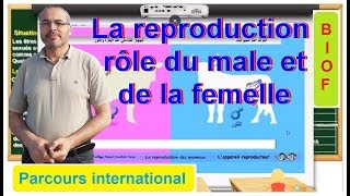 La reproduction chez les animaux  role du male et de la femelle [upl. by Lyndy490]