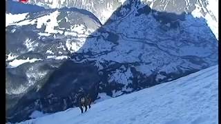 Ueli Steck Neuer Speed Rekord am Eiger [upl. by Ellynn]