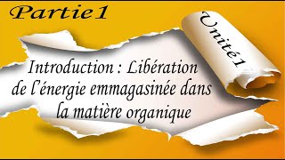 1 Introduction  Libération de l’énergie emmagasinée dans la matière organique ATP [upl. by Garretson]