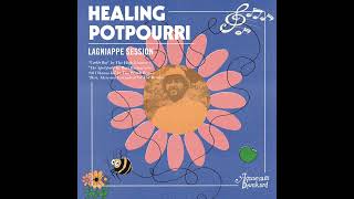 Healing Potpourri  “All I Wanna Do” Official Audio [upl. by Spatz651]