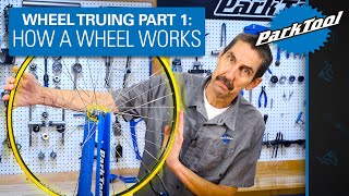 How to True a Wheel Part 1 How a Wheel Works [upl. by Dobb176]